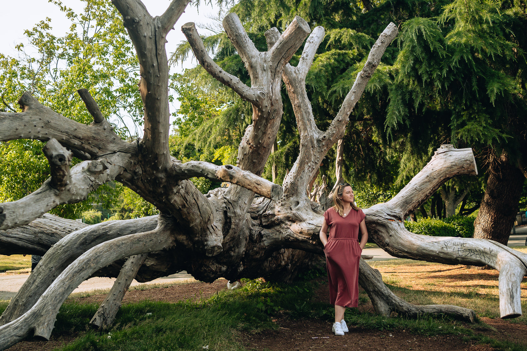 Tourist posing by a giant dead tree in Stanley Park Vancouver