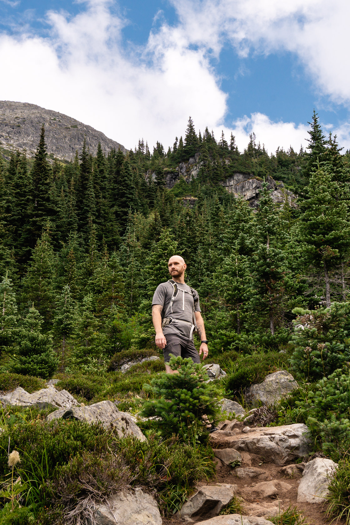 Hiker standing in a forest clearing, framed by trees and rocks