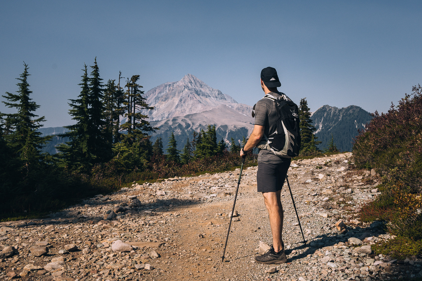 hiker looking at other peaks in Garibaldi Provincial Park from the Elfin lakes trail