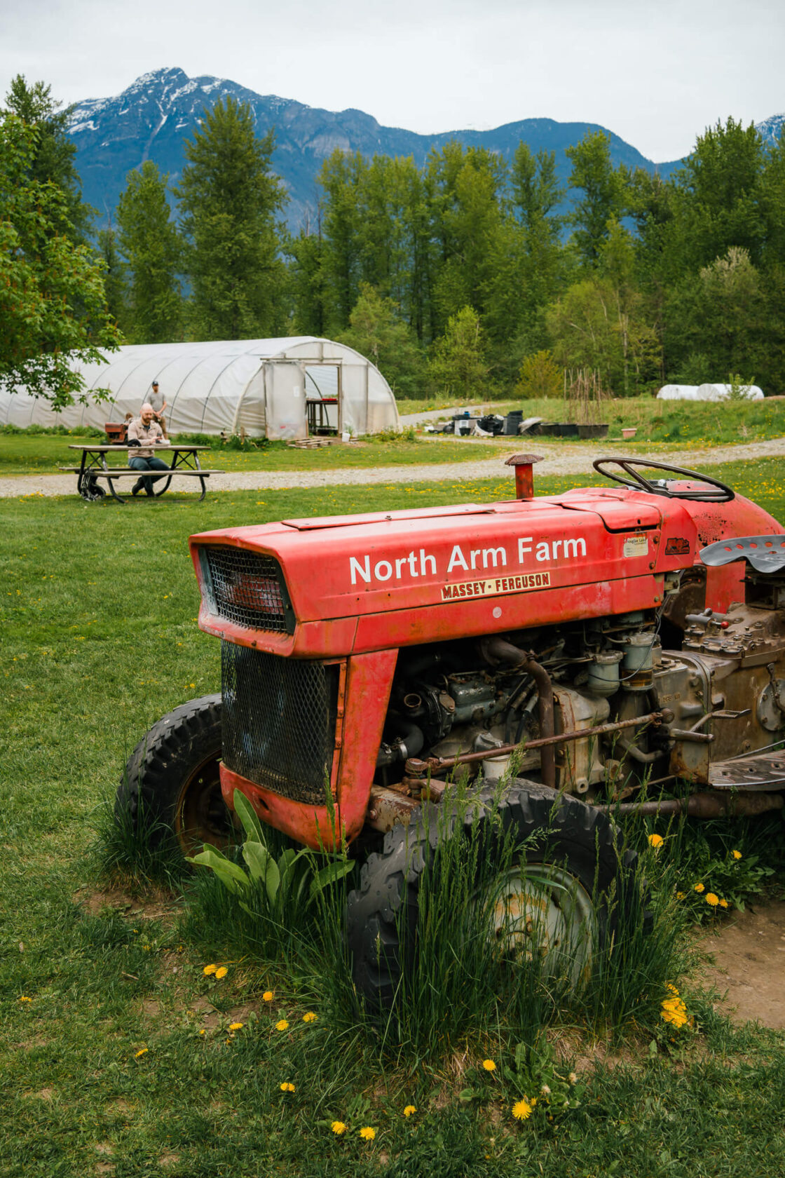 red tractor in the field at North Arm Farm