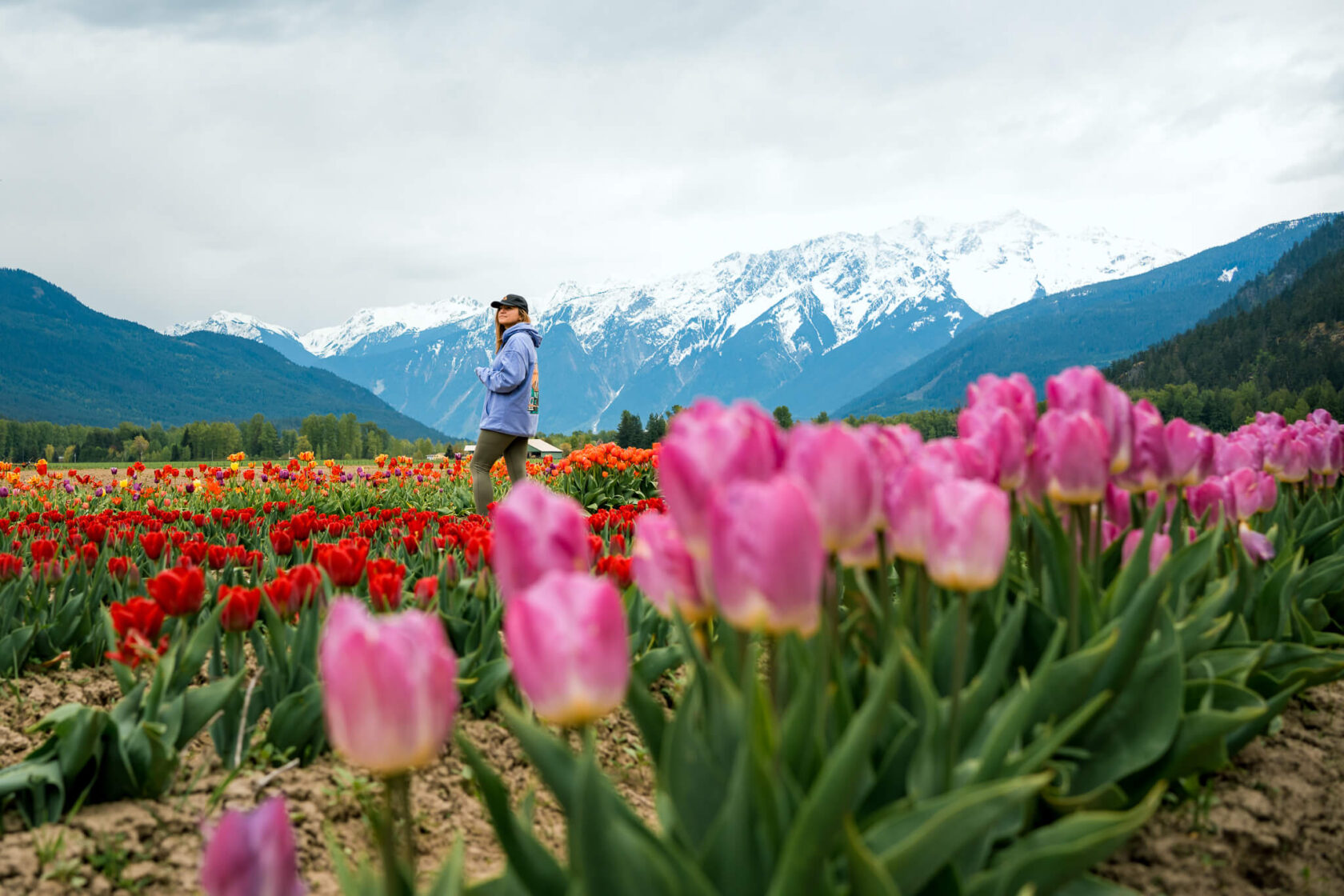 female standing in the field of tulips with mountains in the background