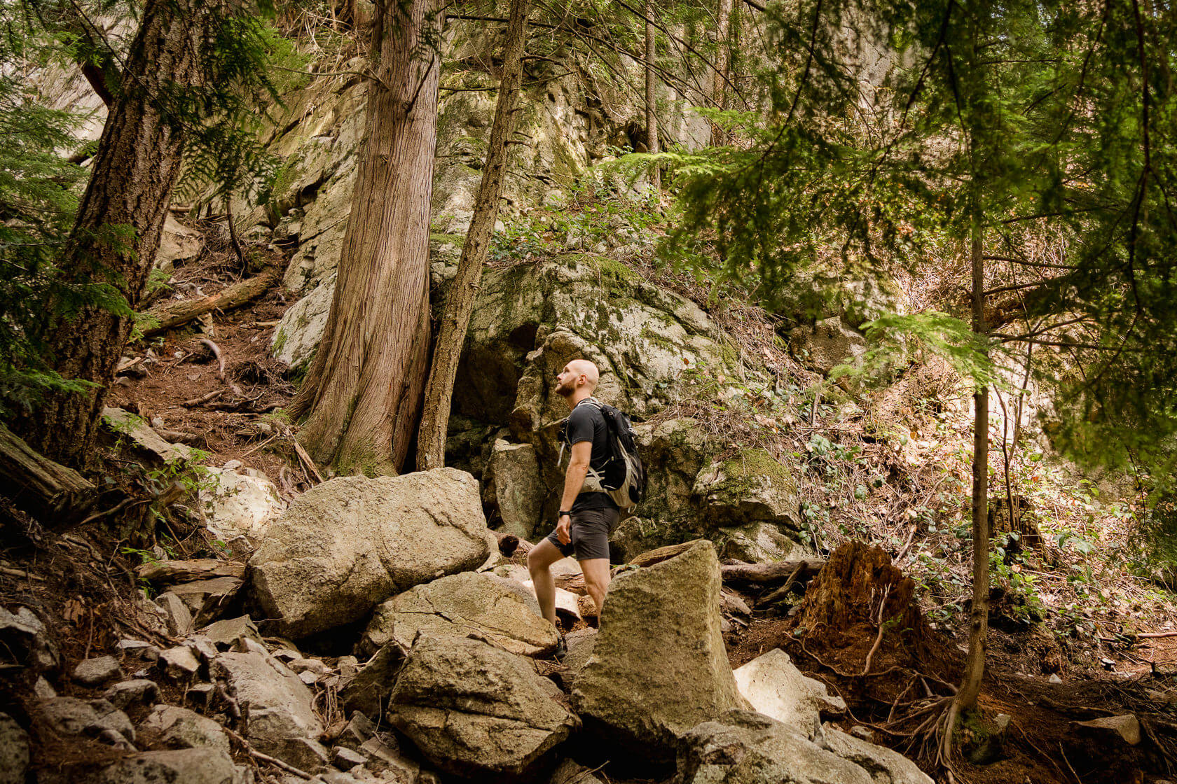 hiker surrounded trees and large rocks on Quercus Lookout trail in Murrin Park