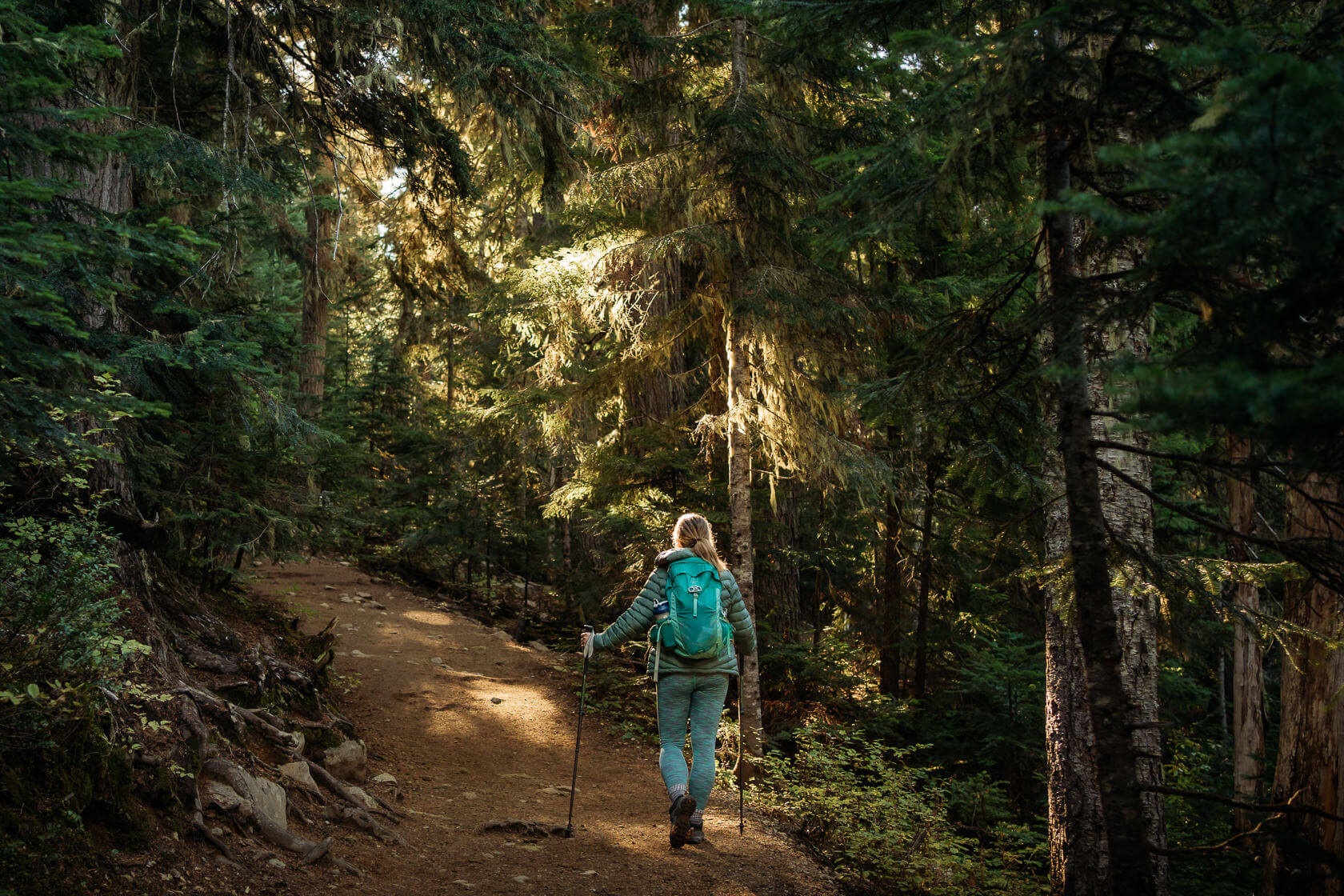 female hiker on switchbacks leading through the forest to Panorama Ridge