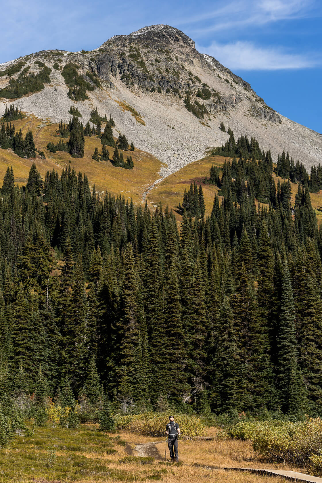 male hiker standing on a broadwalk in Black Tusk meadows