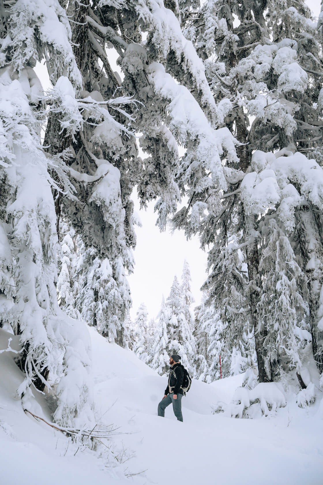 Hiker surrounded by deep snow on a trail in North Shore Mountains